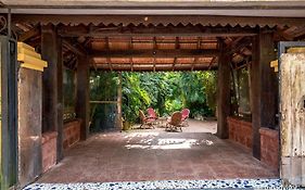 Bougainvillea Guest House